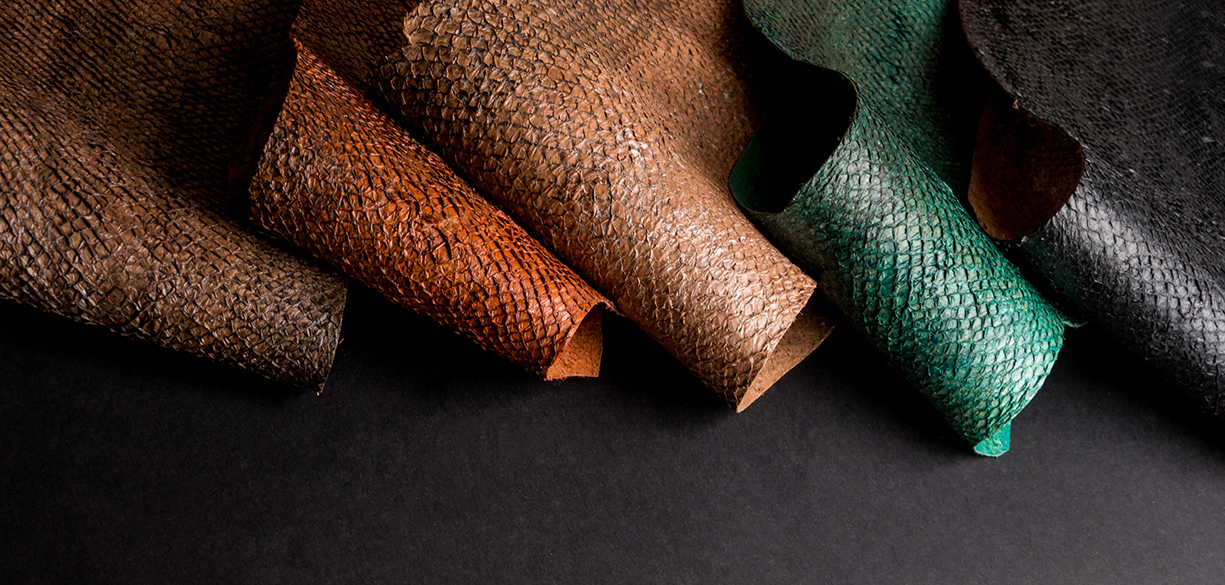 IMG_5723 Pelli di salmone